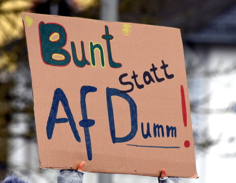 Pappschild auf einer Demo: "Bunt statt AfDumm!"