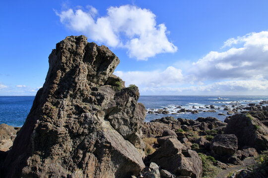 室戸岬の海岸景観　エボシ岩　（高知県）