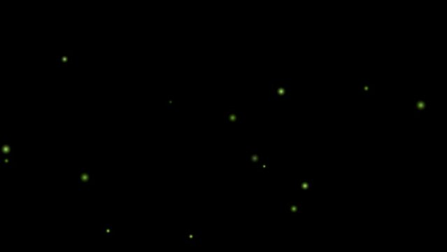 fireflies light animation, black background, loop