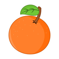 Tangerine fruit vector isolated on white background