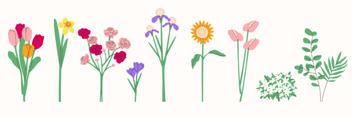 Flower bouquet.Spring and summer flowers, plants for decoration, blooming herbs isolated on white background.Hand drawn set.Vector illustration EPS 10