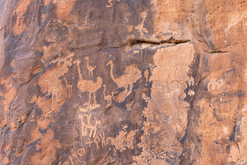 Ancient petroglyph of ostriches and other animals at the Jubbah rock art site at Ob Sinman Mountain.