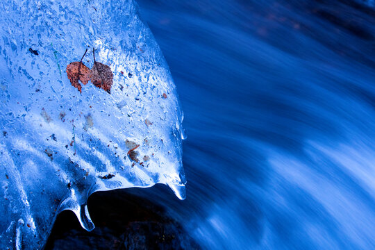 Trapped leaf in melting ice over rushing stream