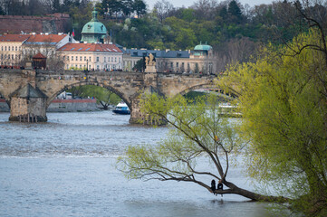 Prague, Czech Republic skyline with historic Charles Bridge and Vltava river on sunny day.
- 730459292