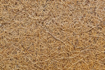 Coconut fiber solid background image. Material is used for many purposes including gardening and...