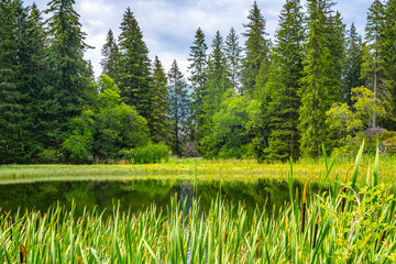 Vrbicke glacial lake and the largest natural lake in Low Tatras, Slovakia © pyty
