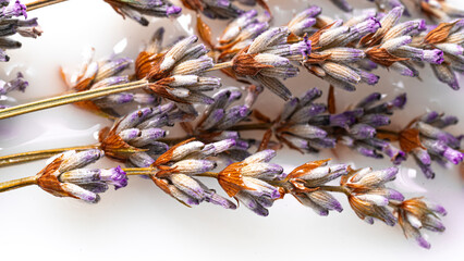 Dried lavender flower