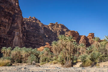 Wadi Al-Disha, known as the Grand Canyon of Saudi Arabia and the Valley of the Palms.