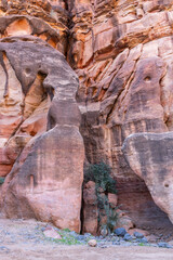 Wadi Al-Disha, known as the Grand Canyon of Saudi Arabia and the Valley of the Palms.