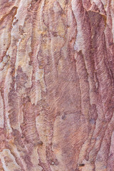 Detail view of eroded layered sandstone.