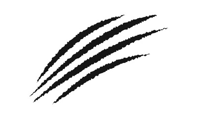 Scratch claw marks. Cat, tiger, bear, wolf, dragon, monster, werewolf talons trace isolated on white background. Scary torn scars. Wild animals scratches track. Vector graphic illustraton