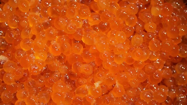 Salmon caviarand a golden spoon. Red caviar background. Gourmet food up close. Seafood and delicatessen. closeup 