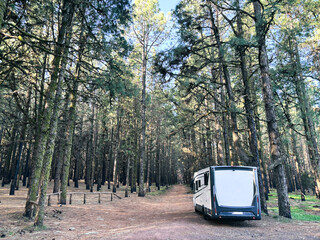 Modern motorhome camper van rv vehicle parking in the outdoors nature park with high scenic trees in background. Concept of travel and alternative vanlife house vacation. Freedom life and holiday