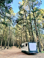 Fototapeta na wymiar Modern motorhome camper van rv vehicle parking in the outdoors nature park with high scenic trees in background. Concept of travel and alternative vanlife house vacation. Freedom life and holiday
