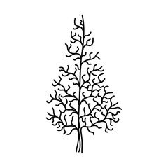 Hand Drawn Tree Outline, Tree Line Art Black and White Sketch Drawing, A hand drawn black and white sketch of a tree outline, showcasing simple yet elegant details of its branches and leaves.