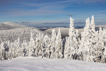 Winter Mountain Landscape Panorama at Mont Tremblant: Skiing Amidst Majestic Mountains and Snow-covered Coniferous Forests. Laurentians, Quebec, Canada - 730468298