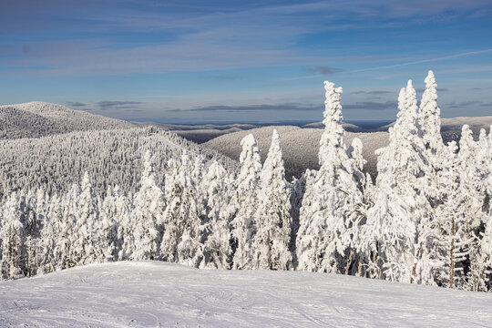 Winter Mountain Landscape Panorama at Mont Tremblant: Skiing Amidst Majestic Mountains and Snow-covered Coniferous Forests. Laurentians, Quebec, Canada