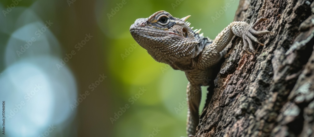 Poster tree lizard descending from a tree in a close-up shot.