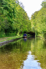 Fototapeta na wymiar Tranquil Moments on Llangollen Canal, Wales