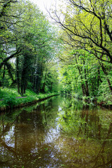 Fototapeta na wymiar A Peaceful Day at the English Canal with a Moored Boat Amidst the Lush Green Forest