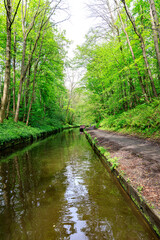 Fototapeta na wymiar A Peaceful Day at the English Canal with a Moored Boat Amidst the Lush Green Forest