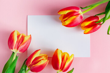 Delicate tulips and greeting card on pink background. Spring concept. Happy easter.