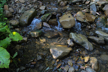 Obraz premium stones in water