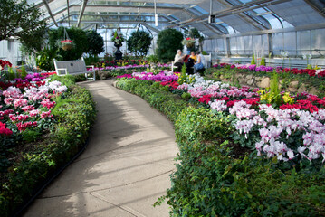 Obraz premium Focus on foreground with blur red background in the conservatory