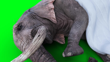 elephant sleeps under a blanket. 3d rendering.