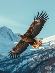 Obraz premium A majestic eagle character soaring above snow-capped mountains, wings spread wide against a clear blue sky, embodying freedom.