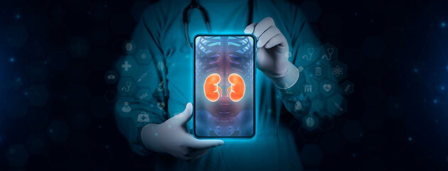 Color image of the kidneys on an x-ray. The doctor studies and analyzes kidney failure and kidney cancer. Scene of a doctor with tablet on digital technology background - Powered by Adobe