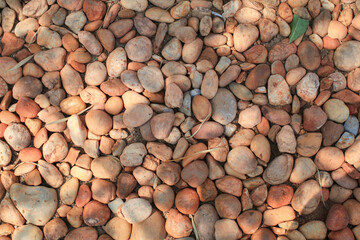 Brown round stone decorative floor with sunlight. Abstract background and texture with pattern of gravel stones