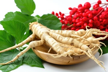 White background with American ginseng