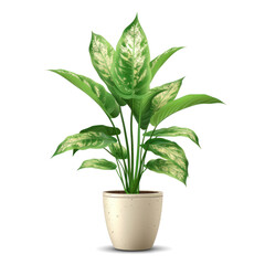 Potted Plant Isolated Cutout PNG File