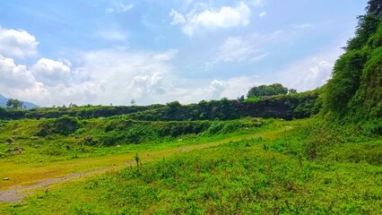 beautiful views of green nature and sky during the day