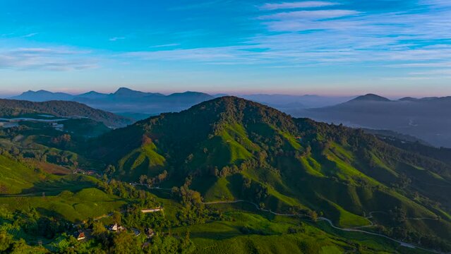 Aerial hyperlapse shot of a tea valley overlooking on the mountain in Cameron Highlands, Malaysia during beautiful sunrise. 