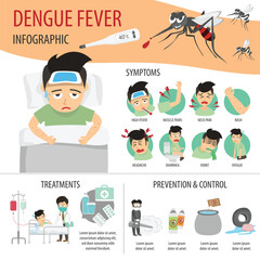 Dengue fever infographic flat. Health care healthcare vector illustration.