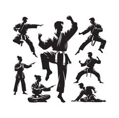 martial art Vector or karate silhouettes vector illustration Japan and  China traditional martial art. self-defense presentation symbols. body poses icons. Karate poses signs © MSTMIM