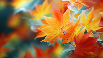 Fototapeta na wymiar Whirling and twirling maple leaves in a dynamic and visually engaging pattern