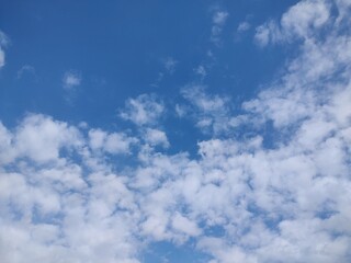 東京のそら(24.2.8)