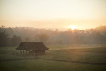 misty morning in the morning