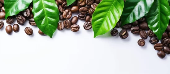 Poster Fresh brown roasted coffee beans and leaves copy space isolated on white background. AI generated © yusufadi