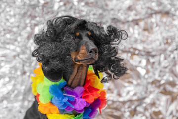 Dog in curly wig with bright lei around neck, performance actor, pet photo shoot