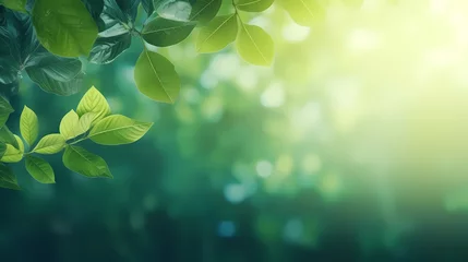 Foto op Plexiglas Spring background, green natural rustic background © jiejie
