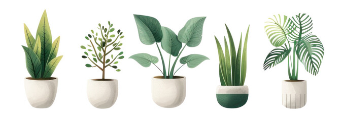 Set of Five Potted Plants Illustration png file of isolated cutout object with shadow on transparent background. - obrazy, fototapety, plakaty