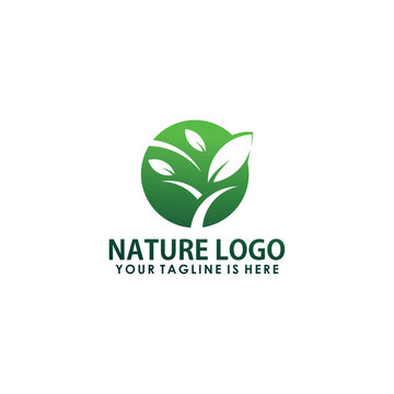 nature vintage logo design vector, plants logo inspiration
