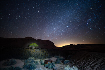 Milky Way, Solitary Tree, Remote Desert, Tecopa, Death Valley National Park