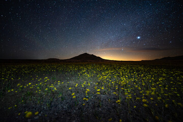 Milky Way, Desert Mountain, Solitude, Desert Wildflowers, Death Valley National Park, Night Sky,...