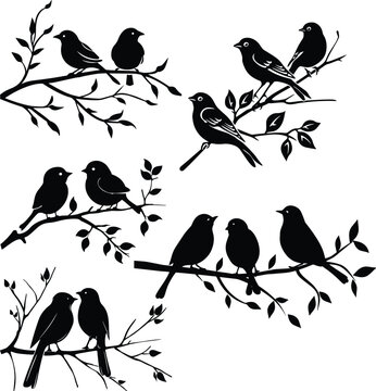birds on branch silhouette  vector illustration 