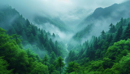Mystic Mountain Valley Shrouded in Morning Mist - obrazy, fototapety, plakaty